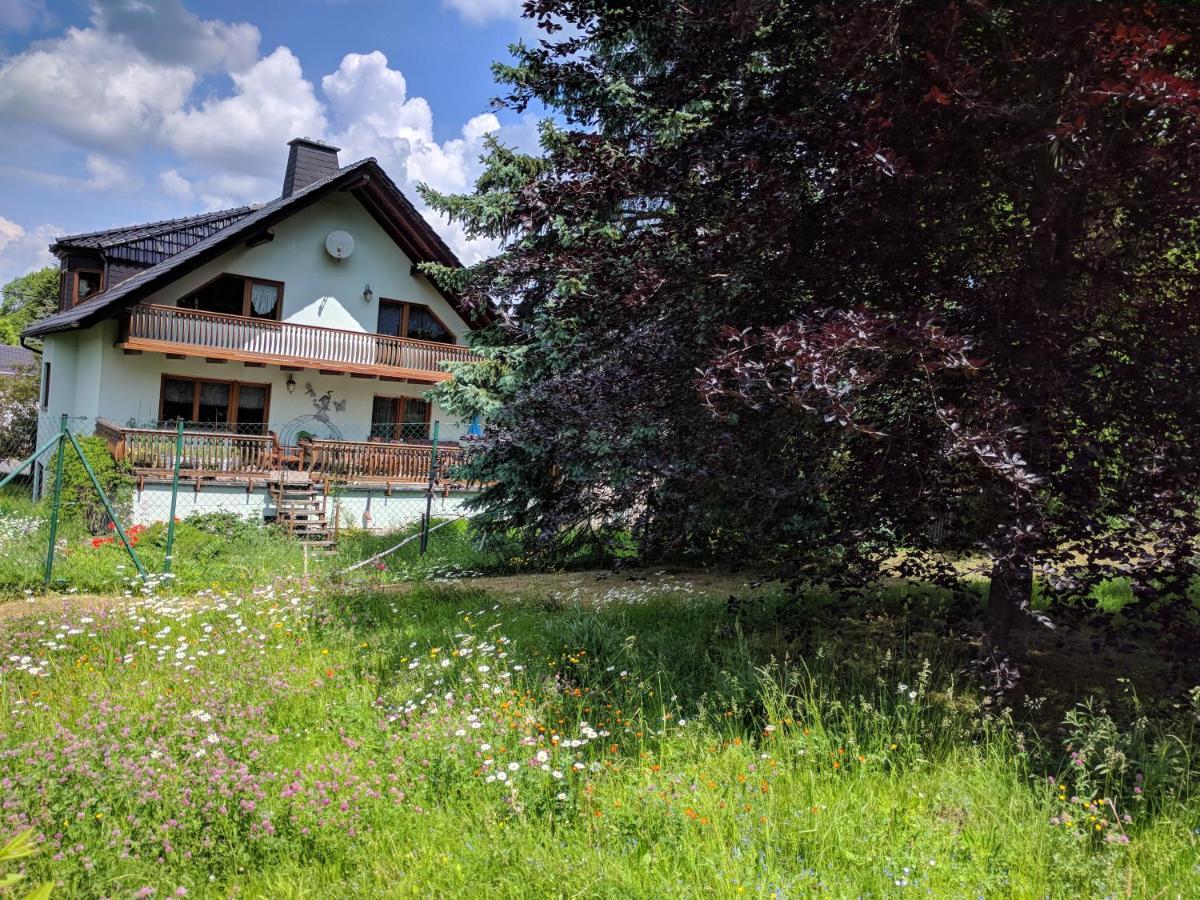 Ferienhaus Johanna & Ferienwohnung Thum Weischlitz Εξωτερικό φωτογραφία