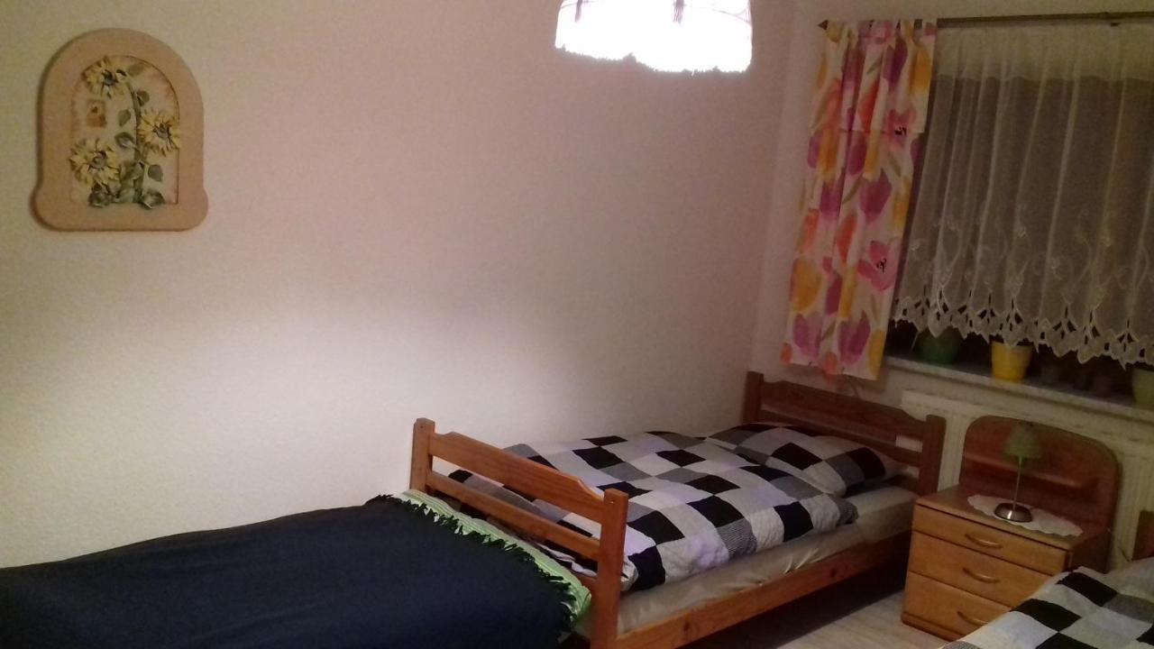 Ferienhaus Johanna & Ferienwohnung Thum Weischlitz Εξωτερικό φωτογραφία