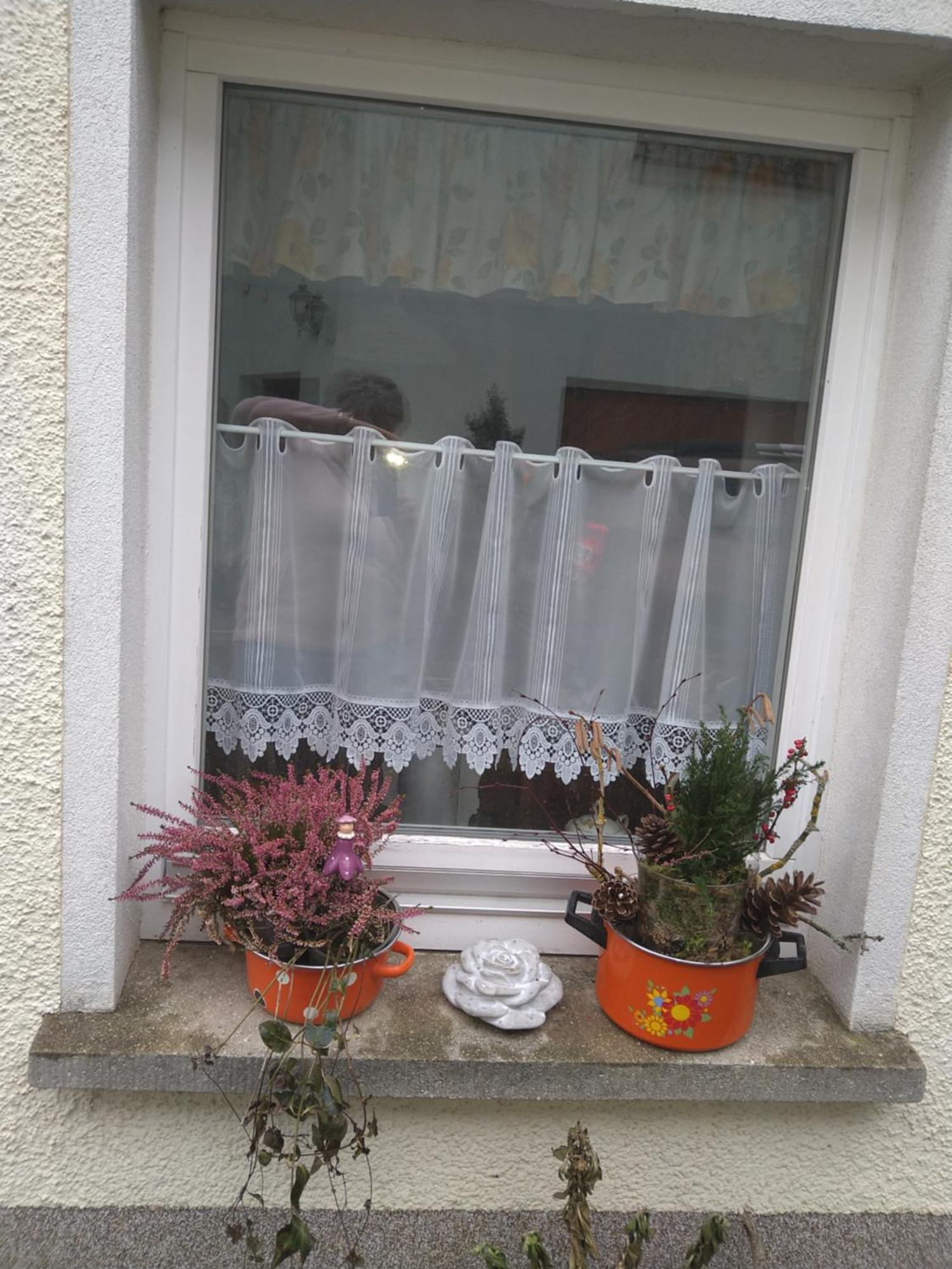 Ferienhaus Johanna & Ferienwohnung Thum Weischlitz Δωμάτιο φωτογραφία